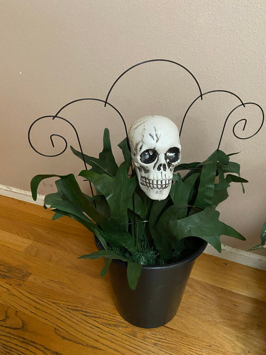 rental SKULL IN THE GREENS RENTAL
