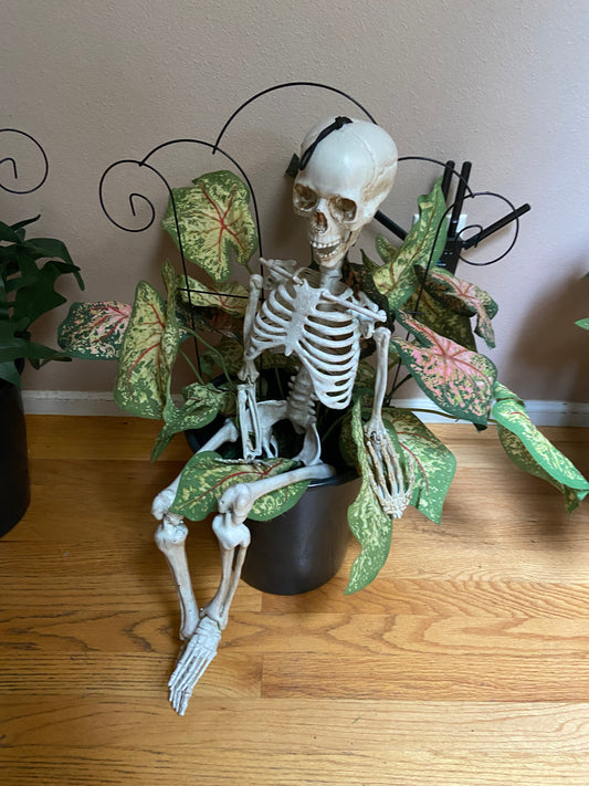 rental  SKELLY IN THE GREENS RENTAL