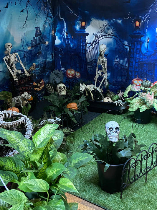 vignette creepy nites
