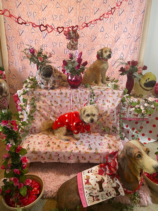 vignette dogs dogs dogs